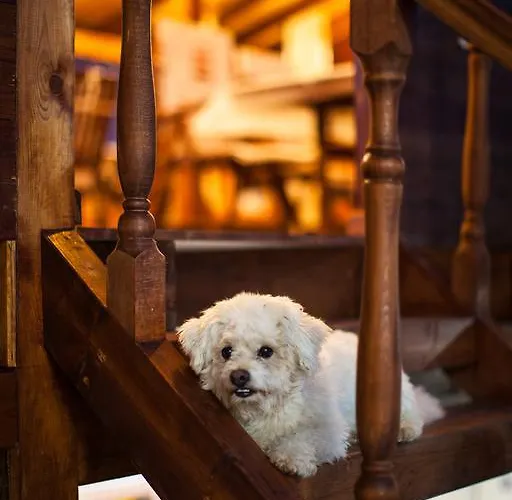 Appart hôtel Durazzo & 4*